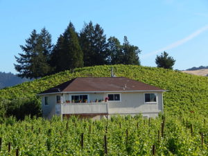 Sonoma County Vineyard For Sale